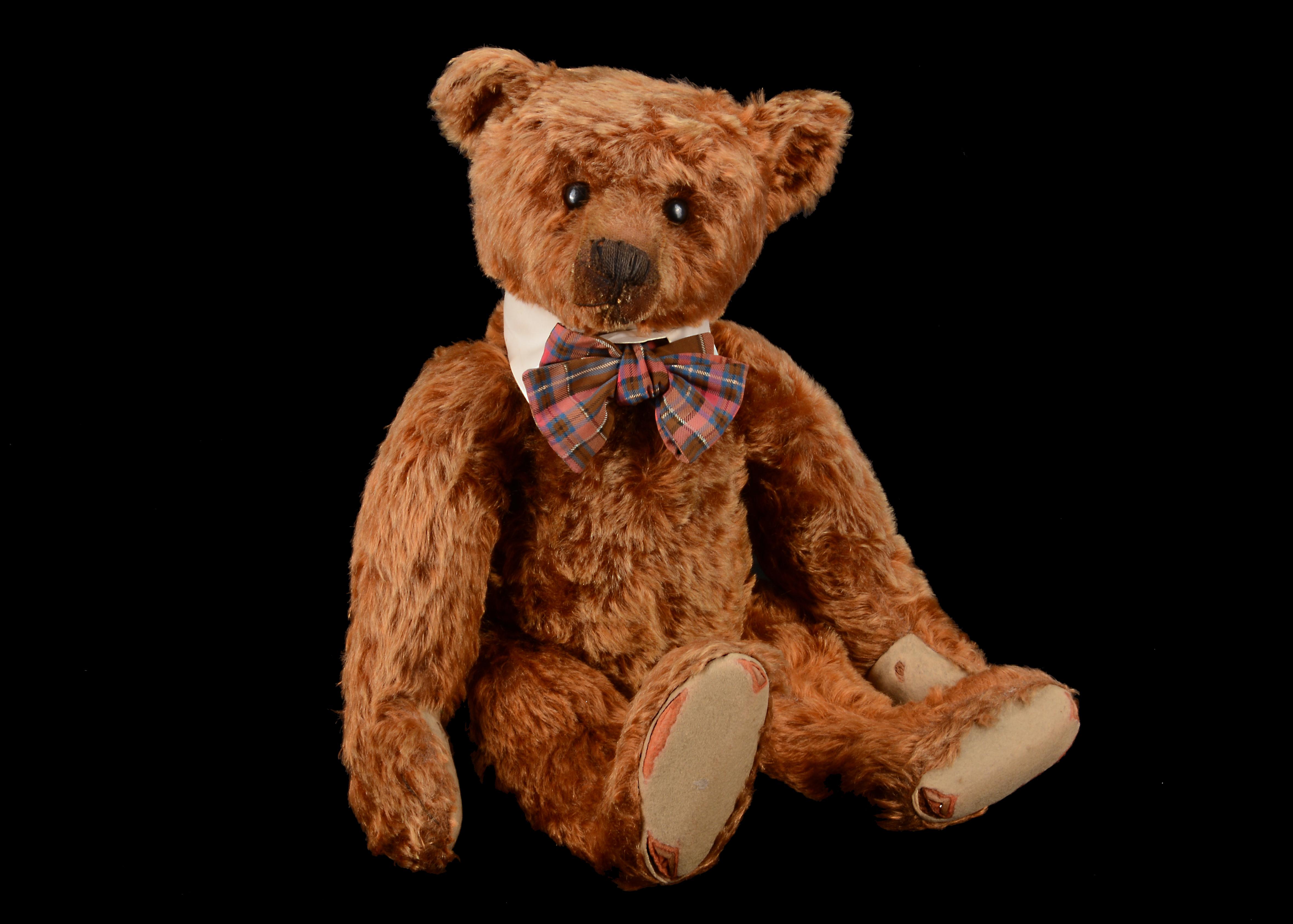 Rare Bears Auction