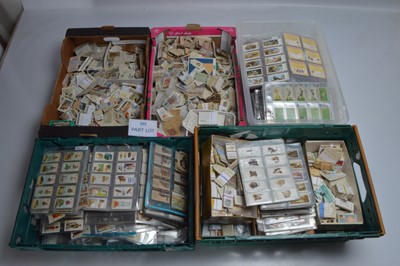 Lot 207 - Large Quantity of Cigarette Cards (1000s)