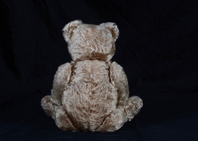 Lot 62 - A 1951-1958 Steiff Original teddy bear