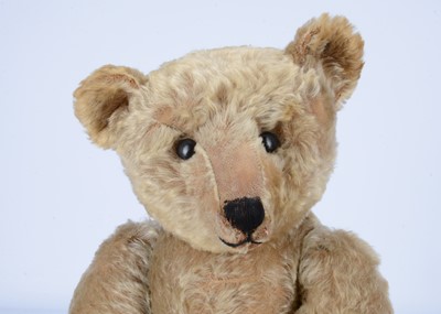 Lot 111 - A large early Steiff teddy bear, circa 1910