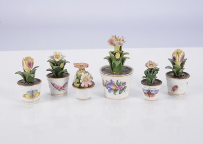 Lot 481 - Six miniature Dresden plants in flower pots