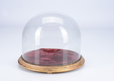 Lot 491 - An 19th century glass dome