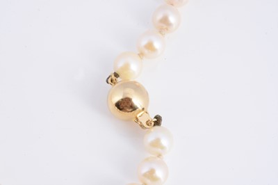 Lot 15 - A uniform knotted cultured pearl necklace, with 18k gold clasp