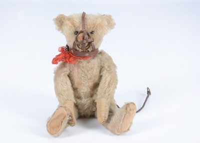 Lot 15 - A rare Steiff white mohair Muzzle teddy bear, circa 1909