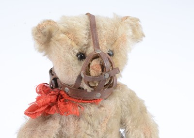 Lot 15 - A rare Steiff white mohair Muzzle teddy bear, circa 1909