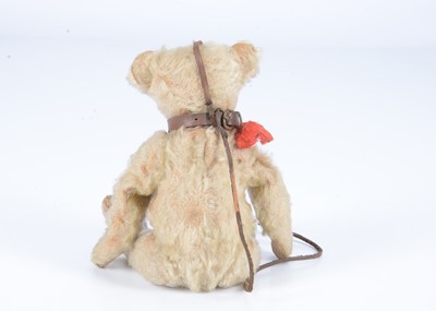 Lot 15 - A rare Steiff white mohair Muzzle teddy bear, circa 1909