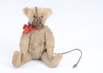 Lot 15 - A rare Steiff white mohair Muzzle teddy bear, circa 1909