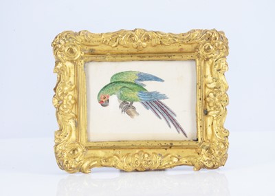 Lot 451 - An 19th century pressed brass picture frame with watercolour of parrot