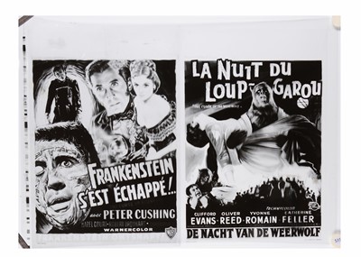 Lot 451 - Horror Film Poster Negatives / Film and Information posters