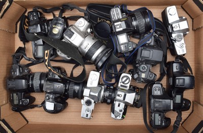 Lot 207 - A Tray of Minolta SLR Cameras