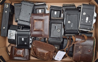 Lot 231 - A Tray of Folding Cameras
