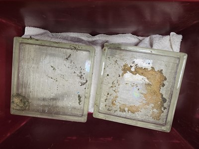 Lot 138 - A collection of approximately sixteen glass bricks