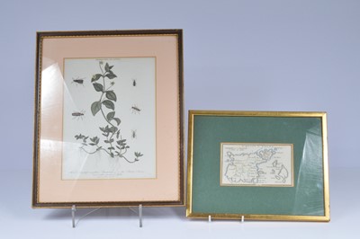 Lot 194 - A small hand coloured map of the Island of Guernsey