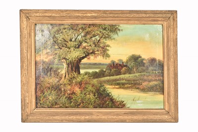 Lot 203 - Oil on Canvas