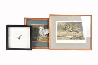 Lot 366 - Three Prints of Birds