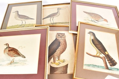 Lot 372 - A collection of Bird Etchings