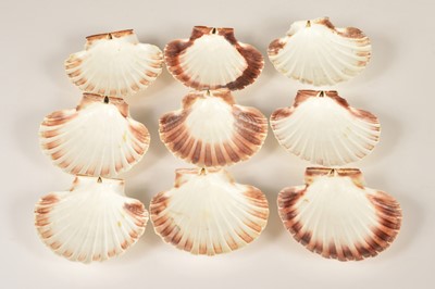 Lot 13 - Nine scallop shell dishes