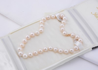 Lot 123 - A string of knotted uniform freshwater pearls
