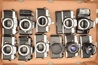 Lot 85 - A Tray of Minolta SLR Cameras