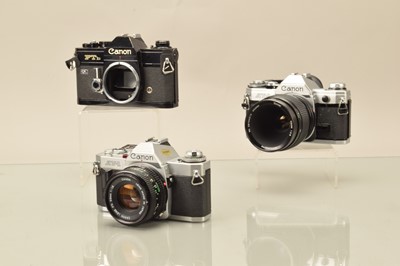 Lot 113 - Three Canon SLR Cameras