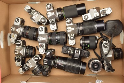 Lot 116 - A Tray of Pentax SLR Cameras