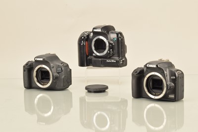 Lot 135 - Three DSLR Camera Bodies