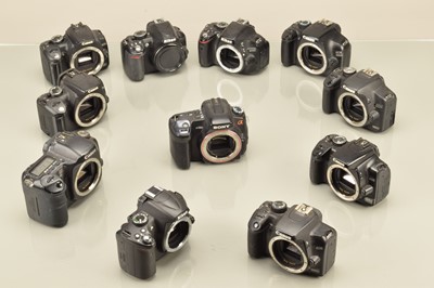 Lot 173 - A Tray of DSLR Camera Bodies