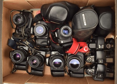 Lot 219 - A Tray of Canon EOS SLR Cameras