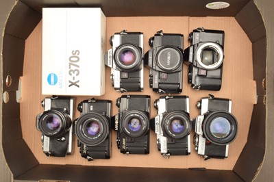 Lot 295 - A Tray of Minolta SLR Cameras