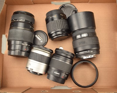 Lot 391 - A Group of AF Lenses