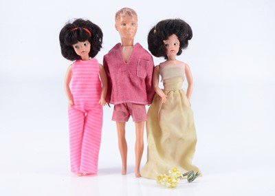 Lot 550 - Two Pedigree1965 Mini Sindy  and Paul dolls