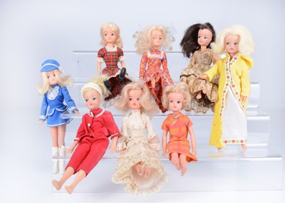 Lot 585 - Eight Pedigree Sindy dolls, 1970s