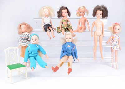 Lot 589 - Eight Pedigree Sindy dolls, 1980s
