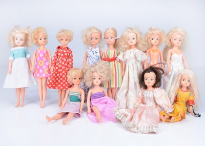 Lot 593 - Twelve Pedigree Sindy dolls, 1980s