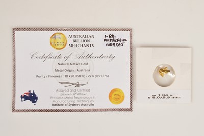 Lot 93 - An Australia gold nugget