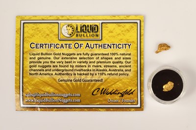 Lot 95 - Two gold nuggets