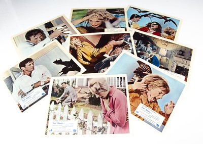 Lot 512 - The Birds Lobby Cards / Front of House Stills