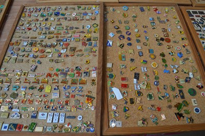 Lot 76 - An extensive collection of modern lepel badges
