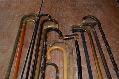 Lot 100 - An assortment of walking sticks