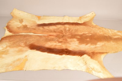 Lot 381 - A Deer Hide/Skin