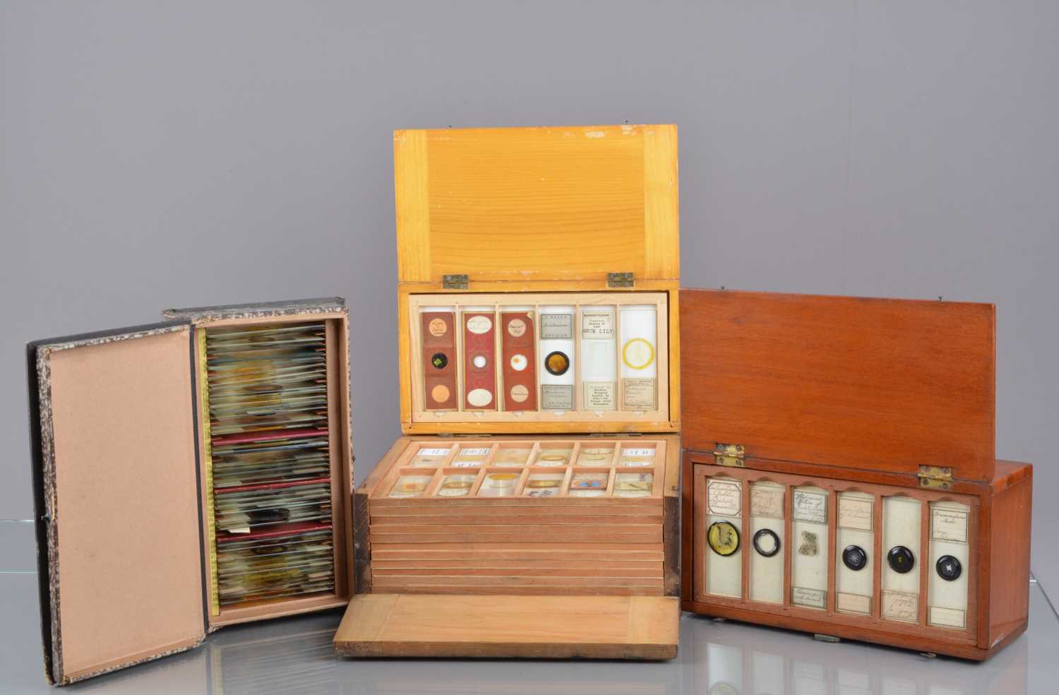 Lot 17 - Microscope Slides
