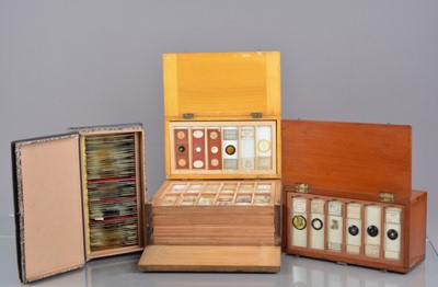 Lot 17 - Microscope Slides