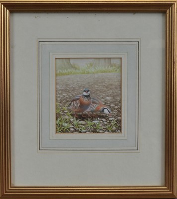 Lot 47 - Andrew Stock (British b.1960)