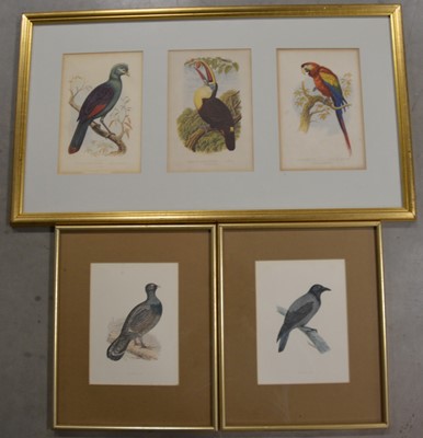 Lot 55 - A collection of framed bird bookplates