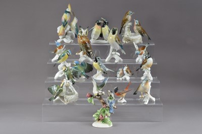 Lot 197 - A large collection of Karl Ens porcelain bird figurines