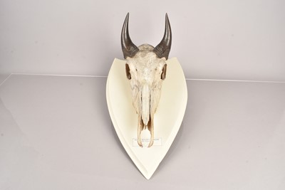 Lot 241 - A Nilgal or Blue Bull Antelope
