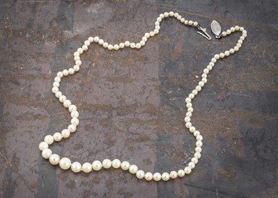 Lot 60 - A string of graduated and knotted cultured pearls
