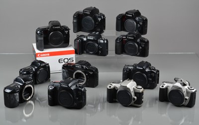 Lot 12 - A Tray of SLR Camera Bodies