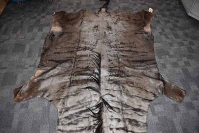 Lot 397 - A Blue Wildebeest flat skin