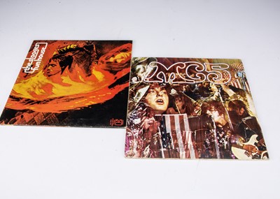 Lot 57 - MC5 / Stooges LPs
